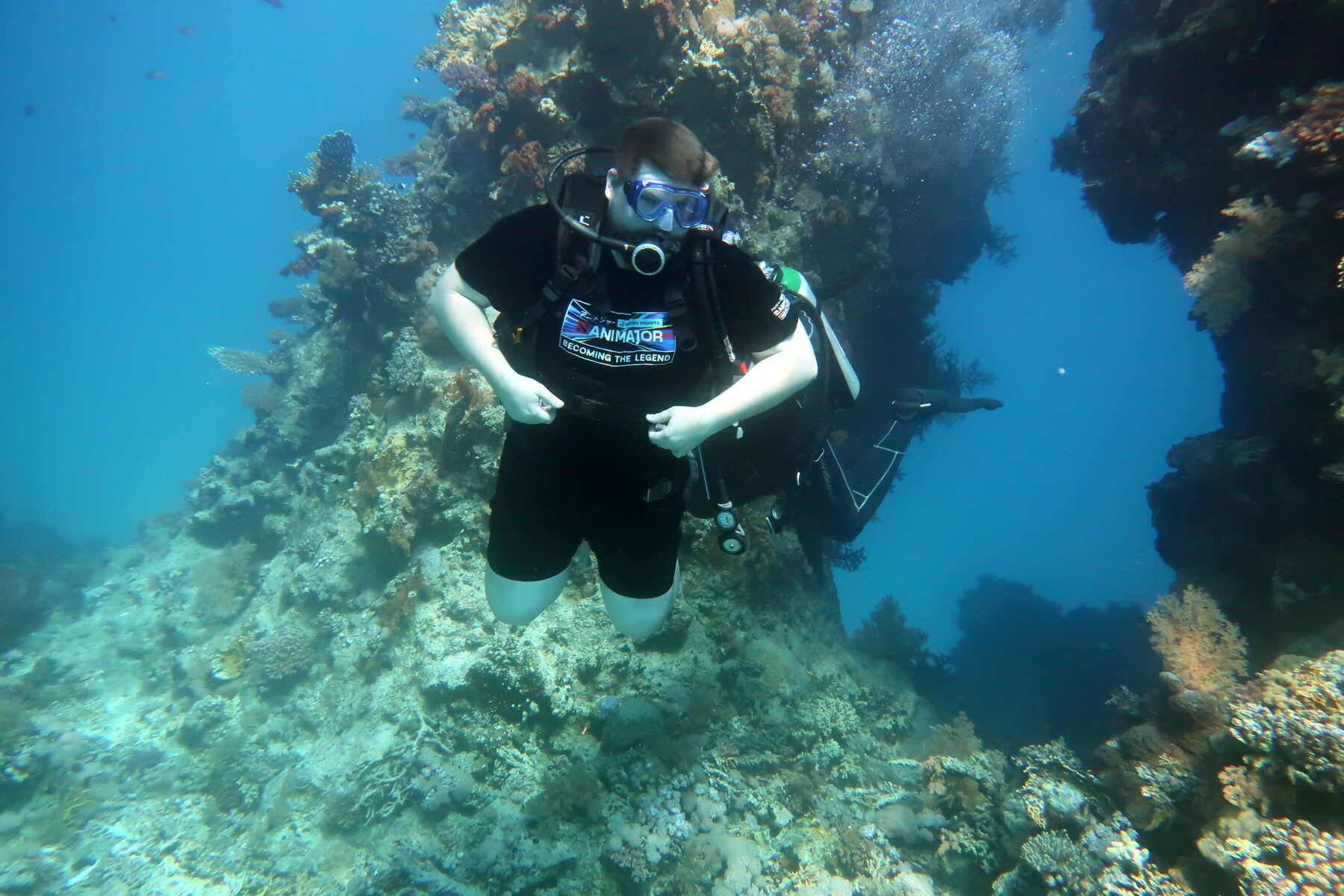 Diving — wrecks, reefs, the quiet layer.